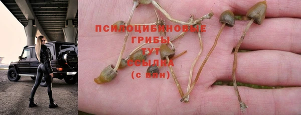 mdpv Алзамай
