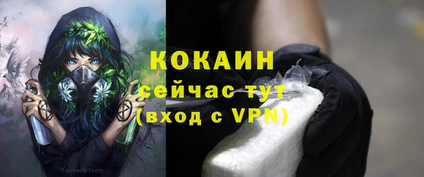 мяу мяу мука Абаза