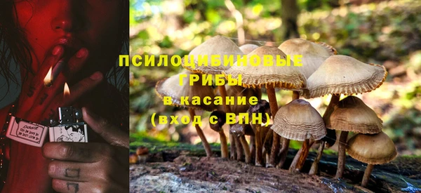 mdpv Алзамай