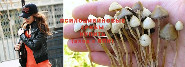 mdpv Алзамай