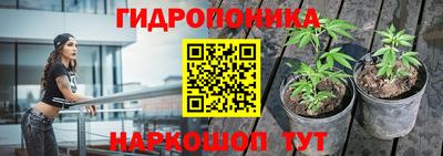 стафф Пушкино