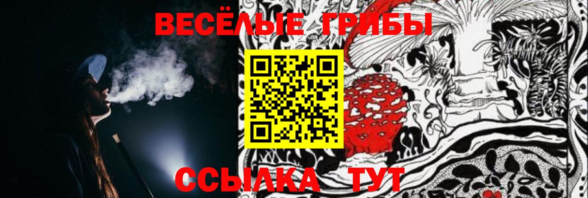 Тулун  Галлюциногенные грибы Cubensis  Вход с VPN 